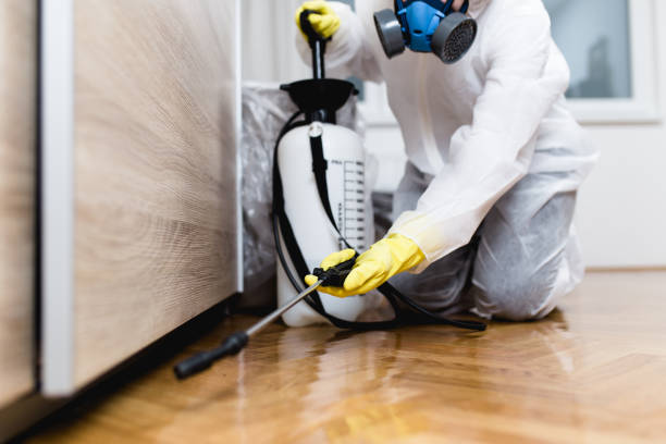  Hackensack, NJ Pest Control Pros