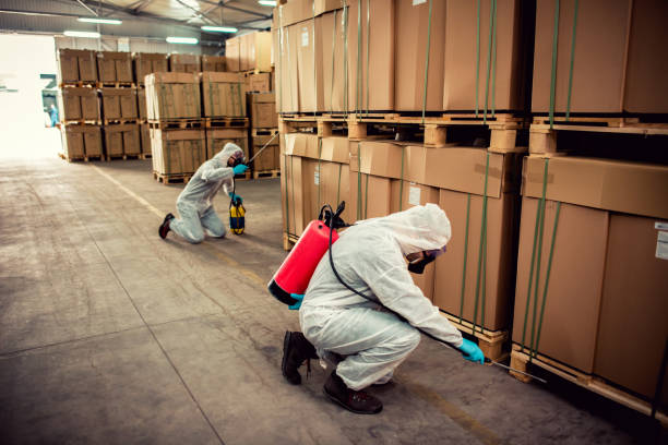 Best Mosquito Control Services  in Hackensack, NJ