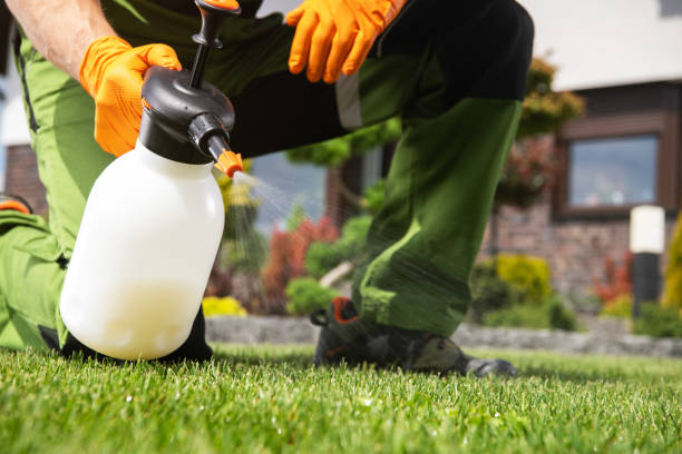 Best Insect Control  in Hackensack, NJ