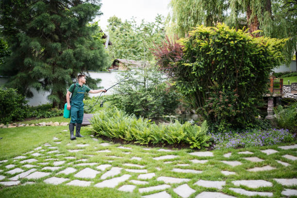 Best Insect Control  in Hackensack, NJ