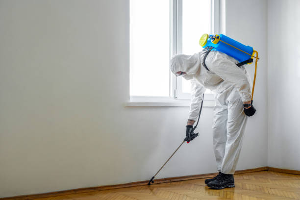 Best Affordable Pest Control Services  in Hackensack, NJ