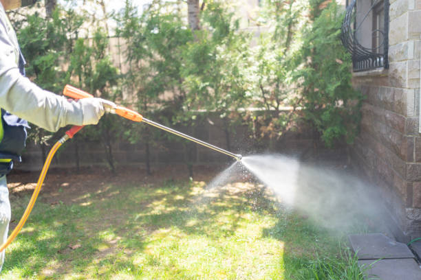 Professional Pest Control in Hackensack, NJ