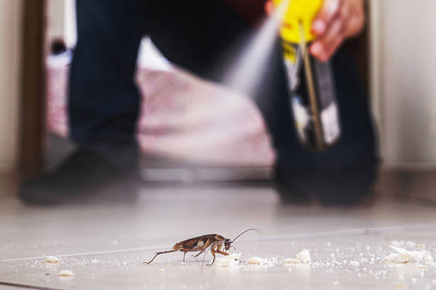 Wildlife Control Services in Hackensack, NJ