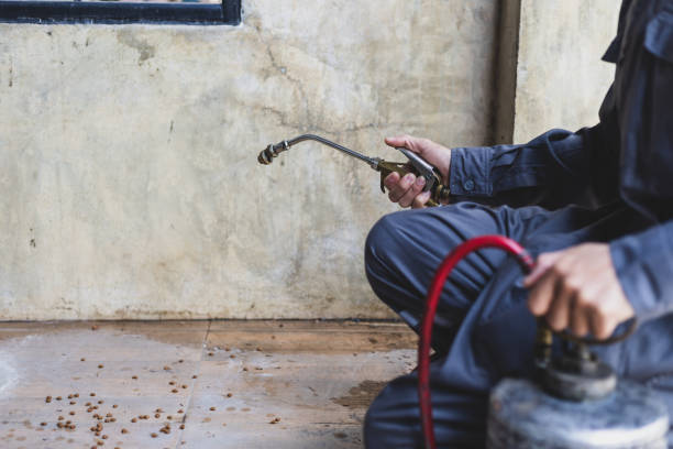 Best Residential Pest Control  in Hackensack, NJ